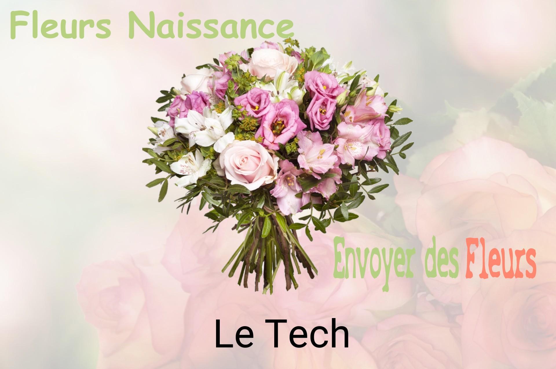 Bouquet de fleurs de naissance livré à Le Tech