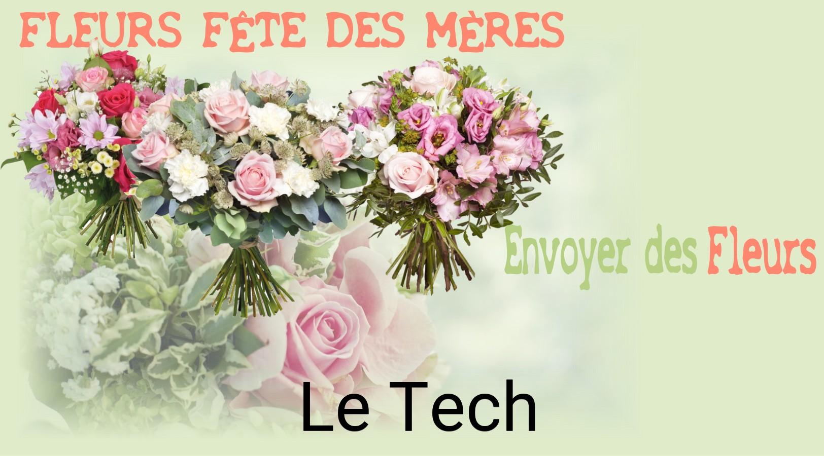 Bouquet de Fête des Mères livré à Le Tech